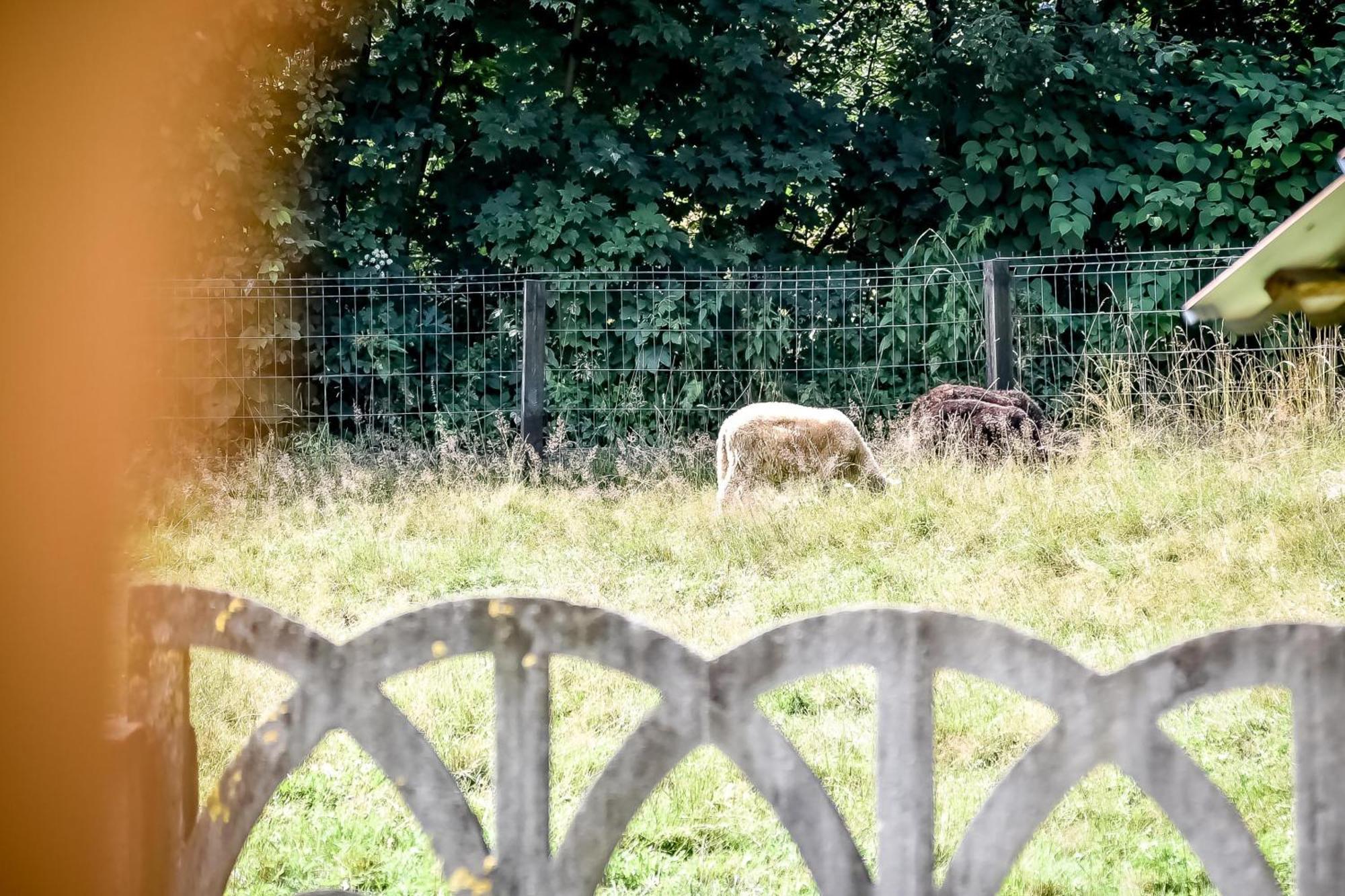 Domek Pod Brzyzkiem Białka Esterno foto